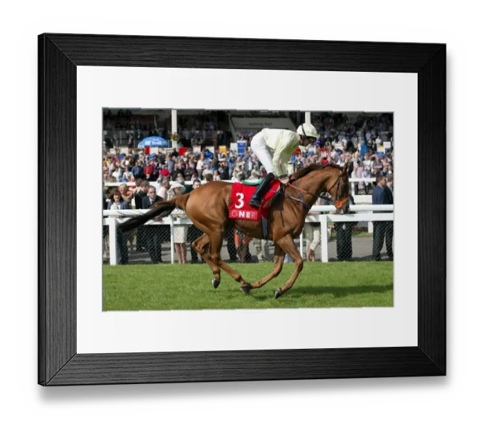 Framed Print : Duck Row Ridden By R.Hughes Doncaster Racecourse Doncaster Framed Print : Duck Row Ridden By R.Hughes Doncaster Racecourse Doncaster