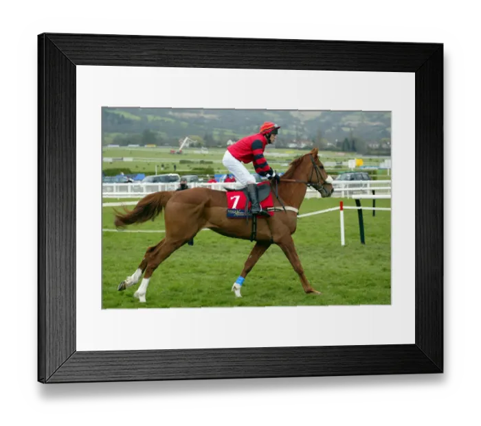 Framed Print : Little Sport Framed Print : Little Sport