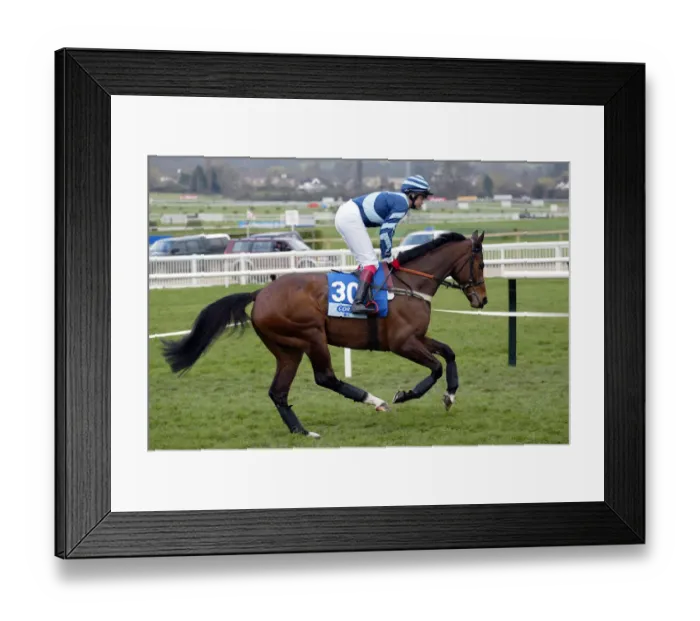 Framed Print : Chicargo Bulls