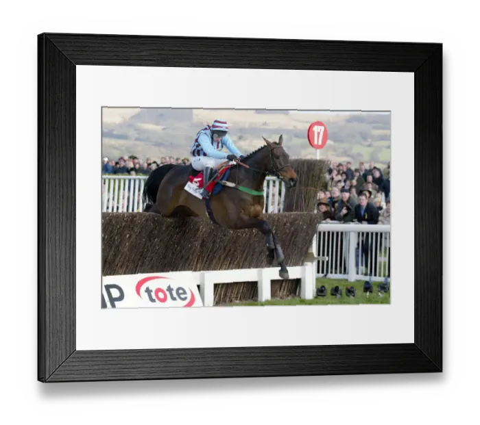 Framed Print : Best Mate Wins The Cheltenham Framed Print : Best Mate Wins The Cheltenham