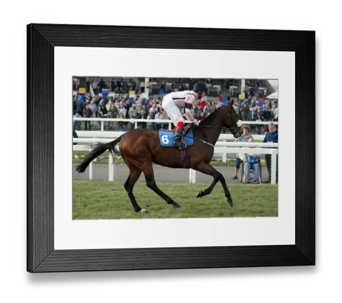 Framed Print : Noels Ganador Framed Print : Noels Ganador