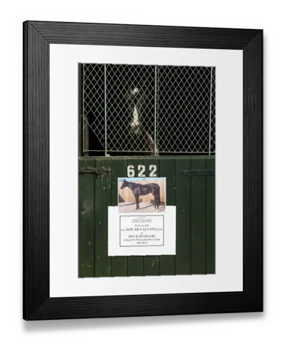 Framed Print : Tattersalls Stable