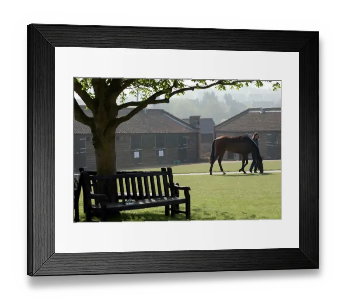 Framed Print : Tattersalls Framed Print : Tattersalls
