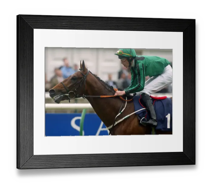 Framed Print : Delsarte Ridden By K.Dalgleish The Sagitta Guineas Festival 2 Newmarket Racecourse Framed Print : Delsarte Ridden By K.Dalgleish The Sagitta Guineas Festival 2 Newmarket Racecourse