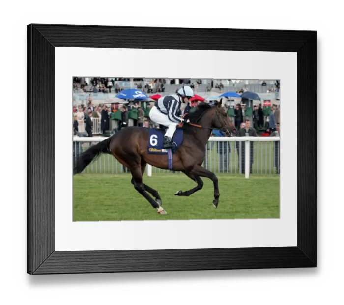 Framed Print : Arakan Ridden By K.Fallon York Racecourse May Meeting 20 York Racecourse Framed Print : Arakan Ridden By K.Fallon York Racecourse May Meeting 20 York Racecourse
