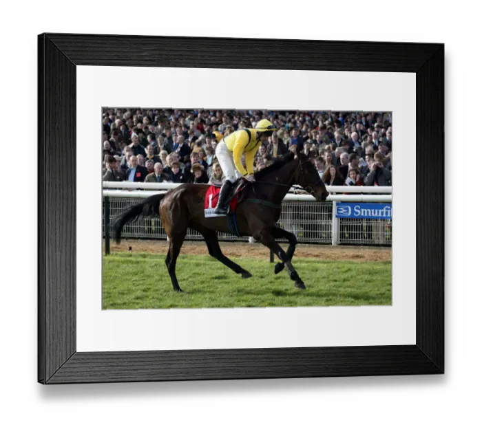Framed Print : Assessed Ridden By Ruby Walsh Cheltenham Festival Cheltenham Racecourse Framed Print : Assessed Ridden By Ruby Walsh Cheltenham Festival Cheltenham Racecourse