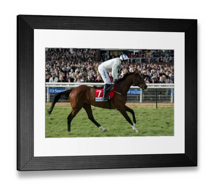 Framed Print : Seebald Ridden By Tony Mccoy Cheltenham Festival Cheltenham Racecourse Framed Print : Seebald Ridden By Tony Mccoy Cheltenham Festival Cheltenham Racecourse