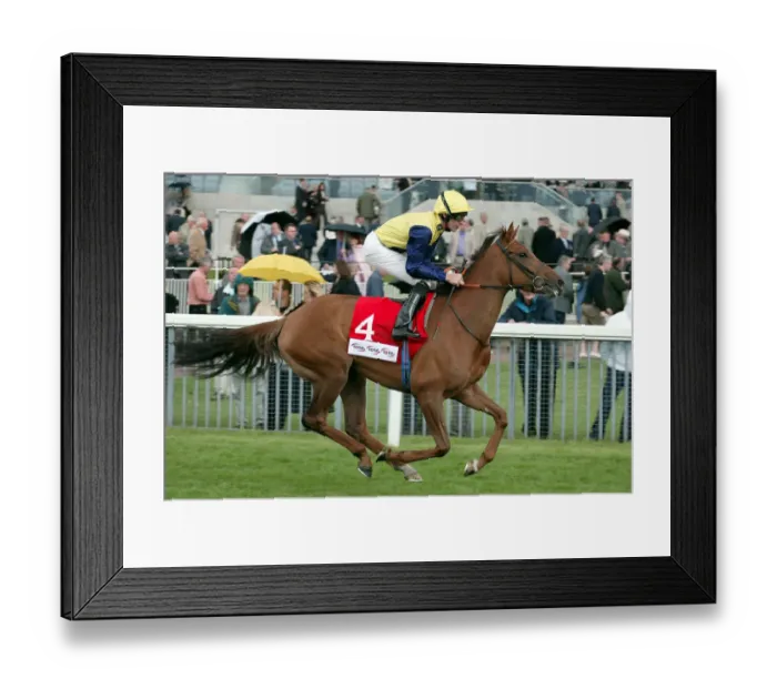Framed Print : Persian Lass Framed Print : Persian Lass