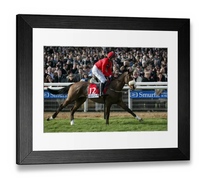 Framed Print : Kadarann Ridden By Joe Tizzard Cheltenham Festival Cheltenham Racecourse Framed Print : Kadarann Ridden By Joe Tizzard Cheltenham Festival Cheltenham Racecourse