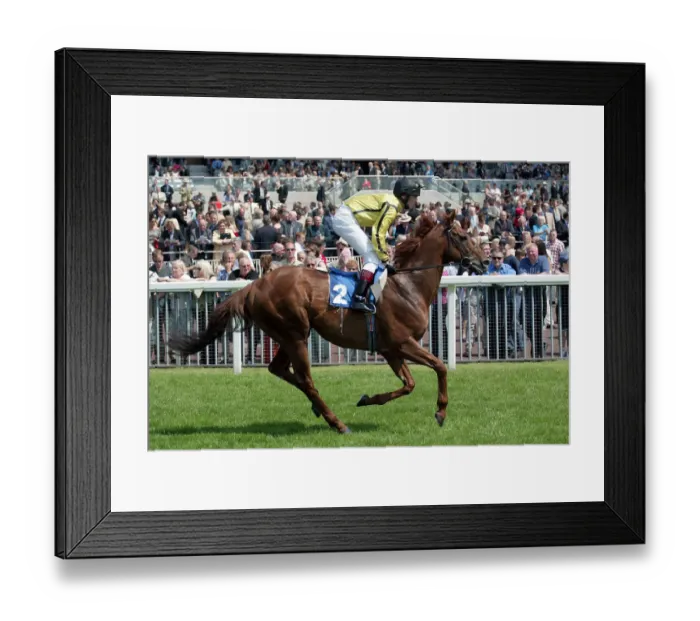 Framed Print : Machea Ridden By T.E.Durcan York Races York Racecousre, York, England 14 June 2003 Date Framed Print : Machea Ridden By T.E.Durcan York Races York Racecousre, York, England 14 June 2003 Date