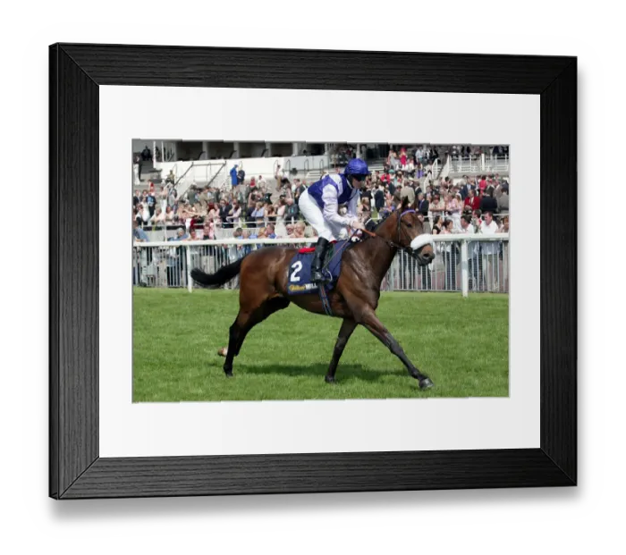 Framed Print : Folio Ridden By R.Mullen York Races York Racecousre, York, England 14 June 2003 Date Framed Print : Folio Ridden By R.Mullen York Races York Racecousre, York, England 14 June 2003 Date