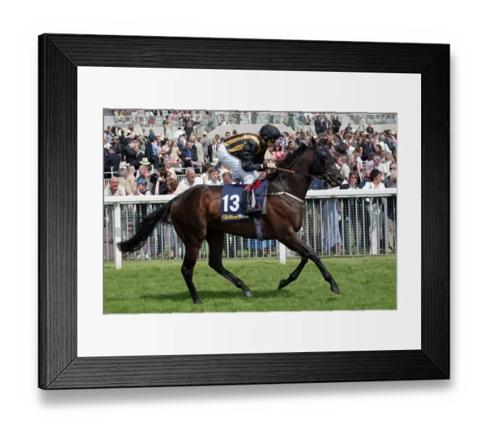 Framed Print : Majestic Times