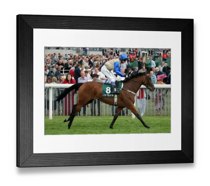 Framed Print : Pongee Ridden By P.Robinson York Races York Racecorse, York, England 21 August 2003 Date Framed Print : Pongee Ridden By P.Robinson York Races York Racecorse, York, England 21 August 2003 Date