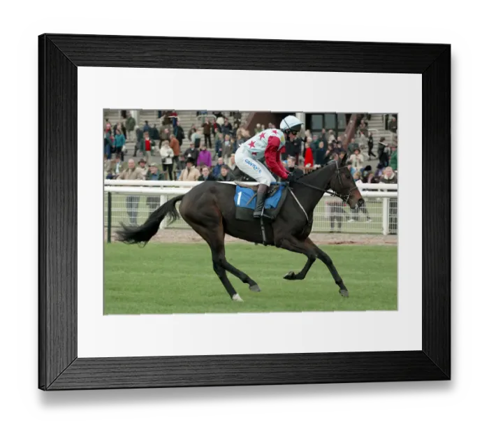 Framed Print : Ollie Magern Framed Print : Ollie Magern