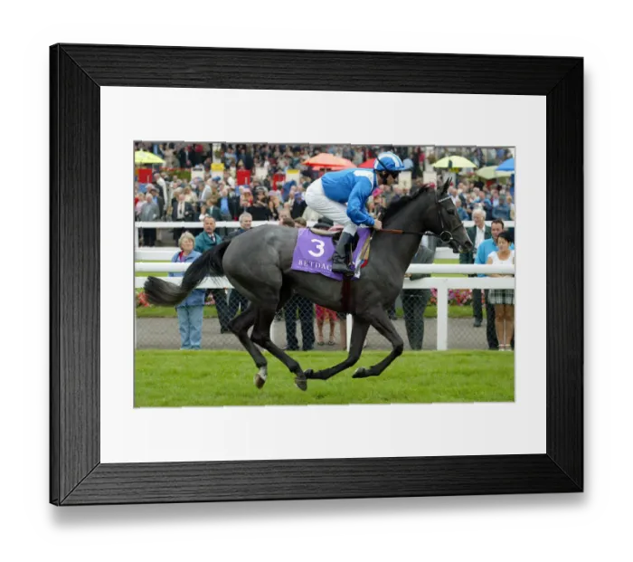Framed Print : Hathrah Ridden By R.Hills St Leger Festival Doncaster Racecourse Framed Print : Hathrah Ridden By R.Hills St Leger Festival Doncaster Racecourse