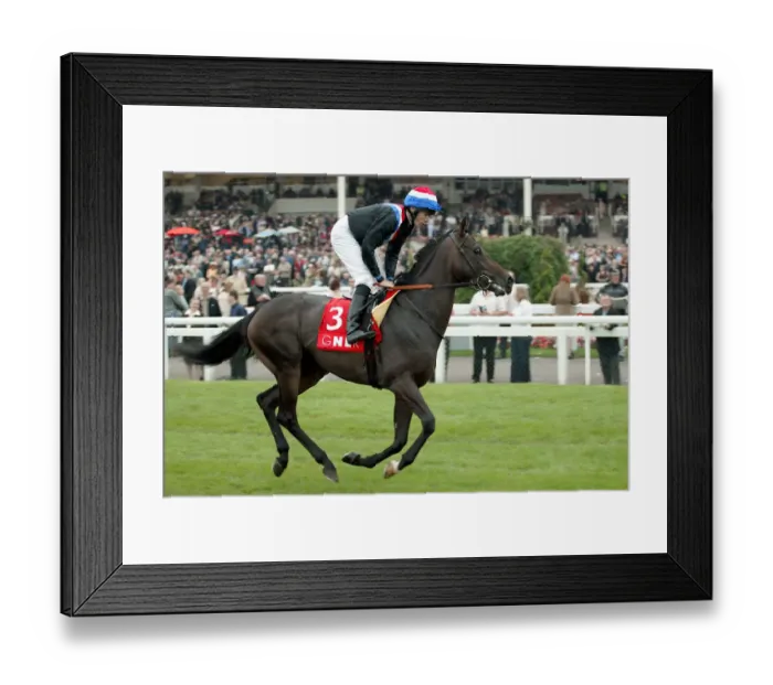 Framed Print : Polar Ben Ridden By J.P.Spencer St Leger Festival Doncaster Racecourse Framed Print : Polar Ben Ridden By J.P.Spencer St Leger Festival Doncaster Racecourse