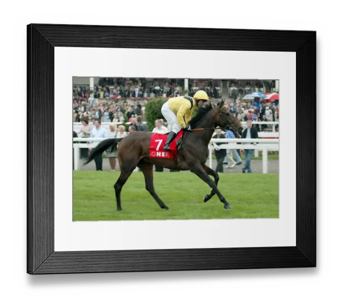 Framed Print : Tarjman Ridden By K.Darley St Leger Festival Doncaster Racecourse Framed Print : Tarjman Ridden By K.Darley St Leger Festival Doncaster Racecourse
