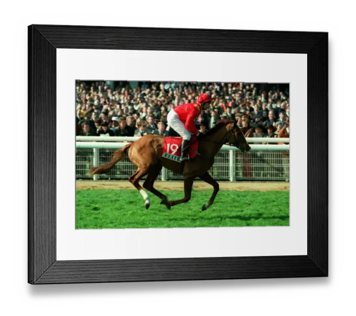 Framed Print : The French Furze Framed Print : The French Furze