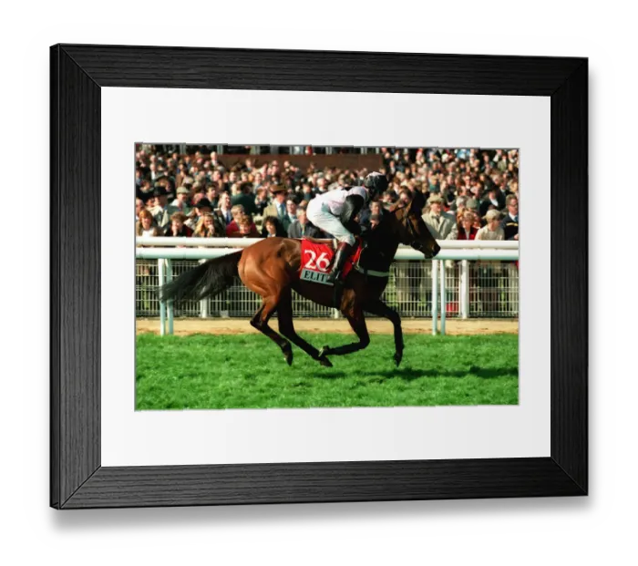 Framed Print : Wontcostalotbut