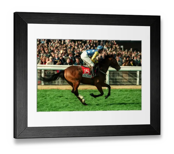 Framed Print : Shalaal Ridden By William Worthington 20 March 1998 Date: 20 March 1998 Framed Print : Shalaal Ridden By William Worthington 20 March 1998 Date: 20 March 1998