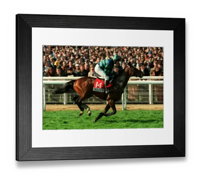 Framed Print : Scoss Ridden By Mr.R.Walsh 20 March 1998 Date: 20 March 1998 Framed Print : Scoss Ridden By Mr.R.Walsh 20 March 1998 Date: 20 March 1998