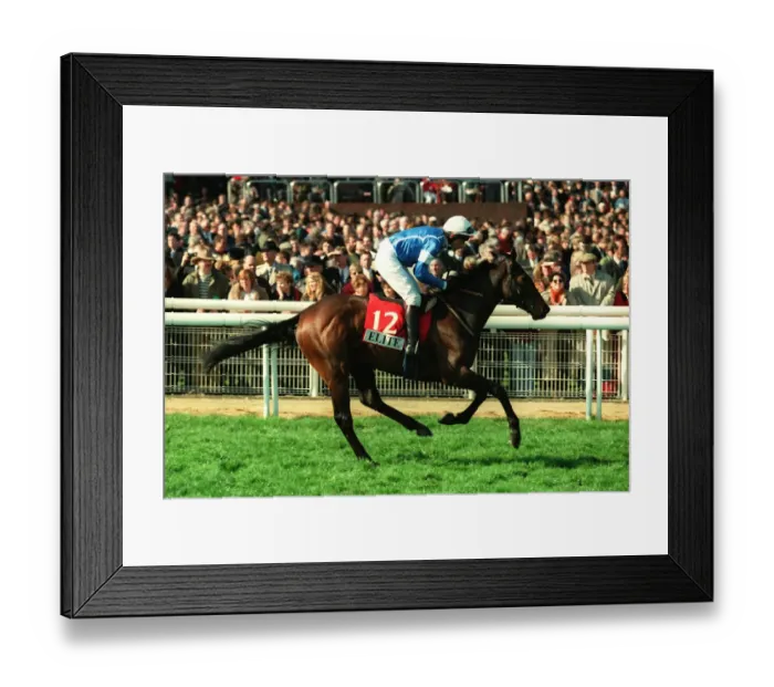 Framed Print : Robbo Ridden By Peter Niven 20 March 1998 Date: 20 March 1998 Framed Print : Robbo Ridden By Peter Niven 20 March 1998 Date: 20 March 1998