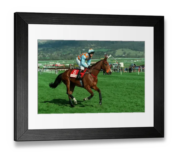 Framed Print : Princeful Ridden By Rodney Farrent 20 March 1998 Date: 20 March 1998 Framed Print : Princeful Ridden By Rodney Farrent 20 March 1998 Date: 20 March 1998