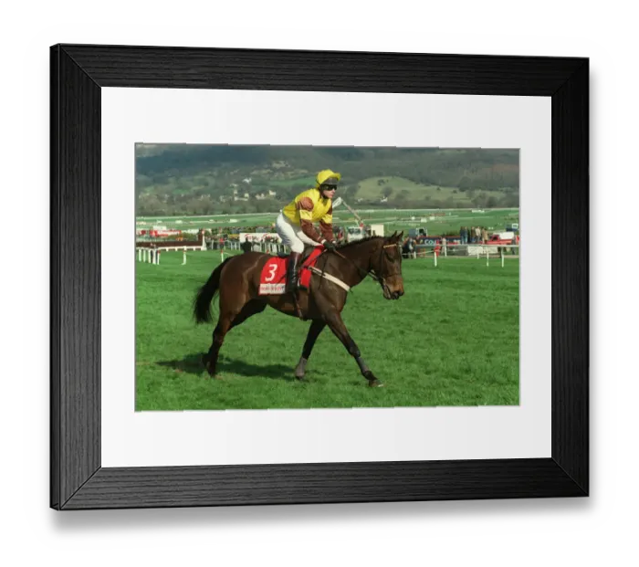 Framed Print : Friendship Framed Print : Friendship