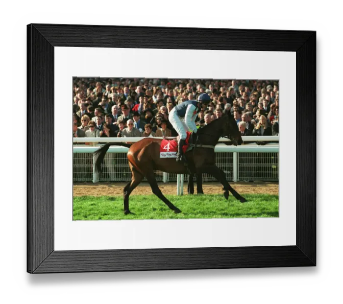 Framed Print : Cool Dawn Ridden By Andrew Thornton 20 March 1998 Date: 20 March 1998 Framed Print : Cool Dawn Ridden By Andrew Thornton 20 March 1998 Date: 20 March 1998