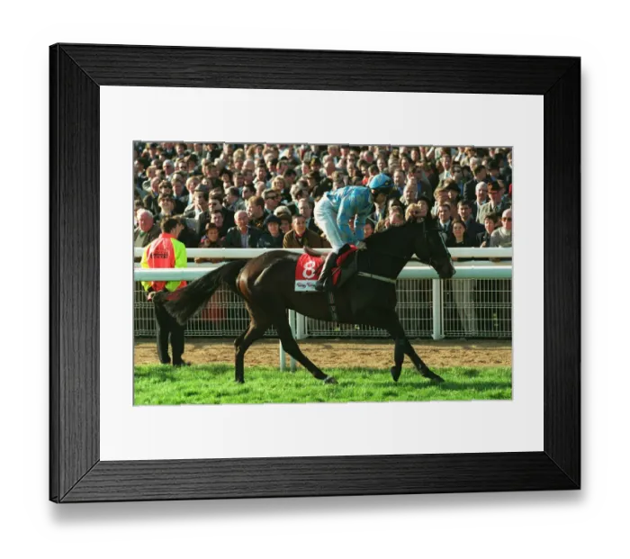 Framed Print : Go Ballistic