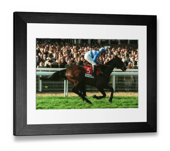 Framed Print : Couldent Be Better Framed Print : Couldent Be Better