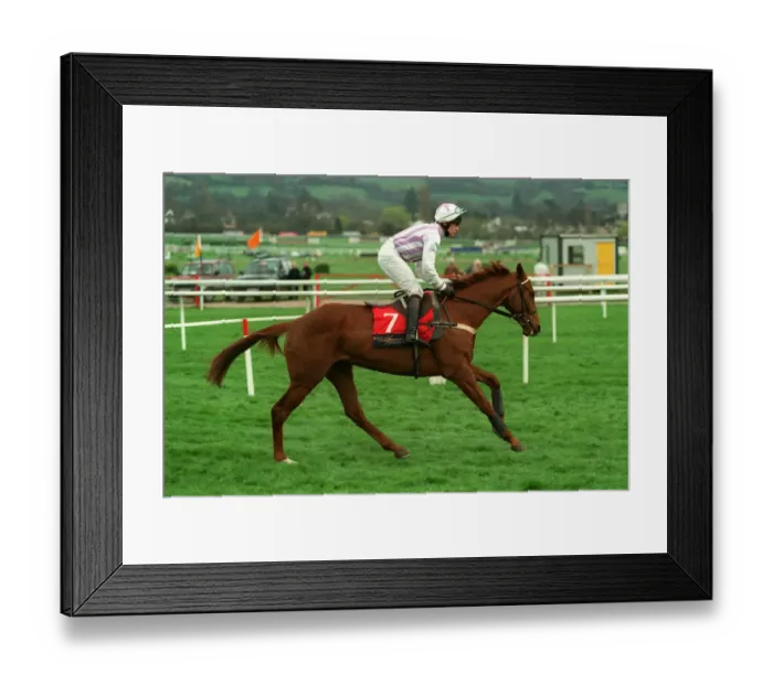 Framed Print : Hailstorm Ridden By Adrian Maguire 23 March 1998 Date: 23 March 1998 Framed Print : Hailstorm Ridden By Adrian Maguire 23 March 1998 Date: 23 March 1998