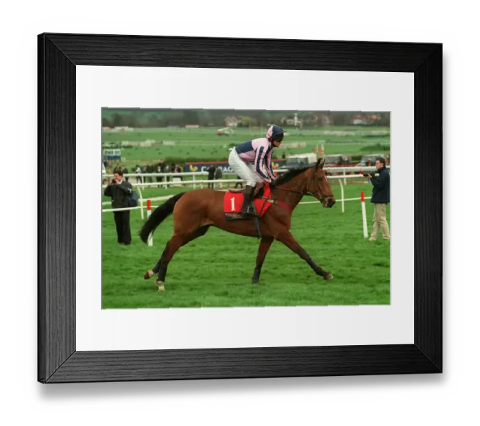 Framed Print : Andsuephi Ridden By Graham Bradley 23 March 1998 Date: 23 March 1998 Framed Print : Andsuephi Ridden By Graham Bradley 23 March 1998 Date: 23 March 1998