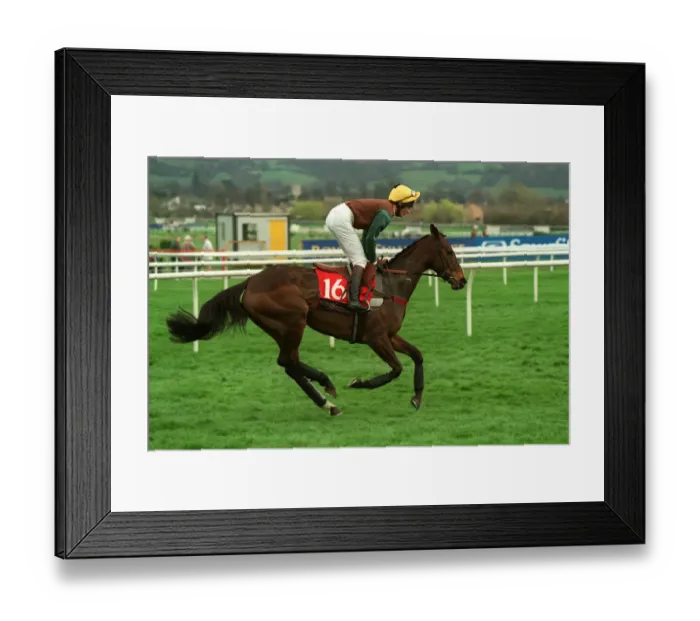 Framed Print : Lady Rebecca