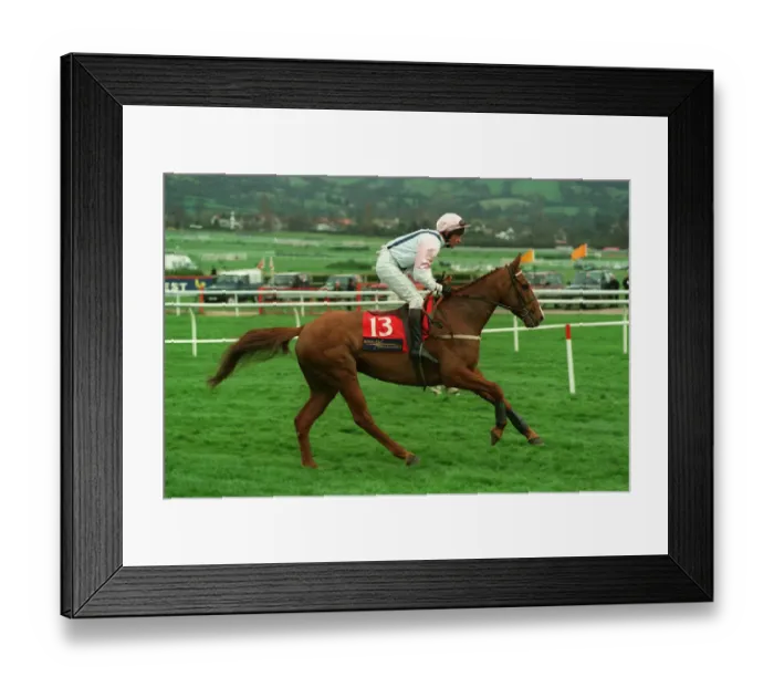 Framed Print : Sweet Lord Framed Print : Sweet Lord