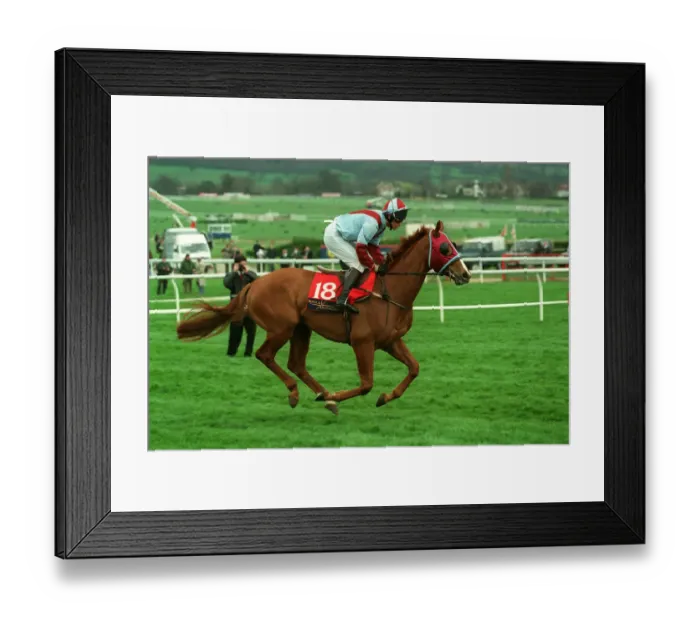 Framed Print : Borazon Ridden By Carl Llewellyn 23 March 1998 Date: 23 March 1998 Framed Print : Borazon Ridden By Carl Llewellyn 23 March 1998 Date: 23 March 1998