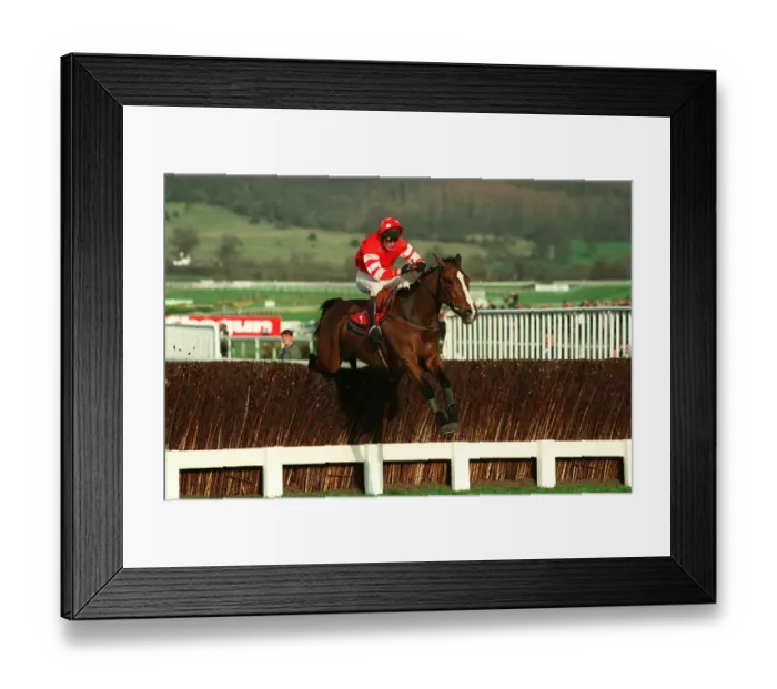 Framed Print : Florida Pearl Framed Print : Florida Pearl