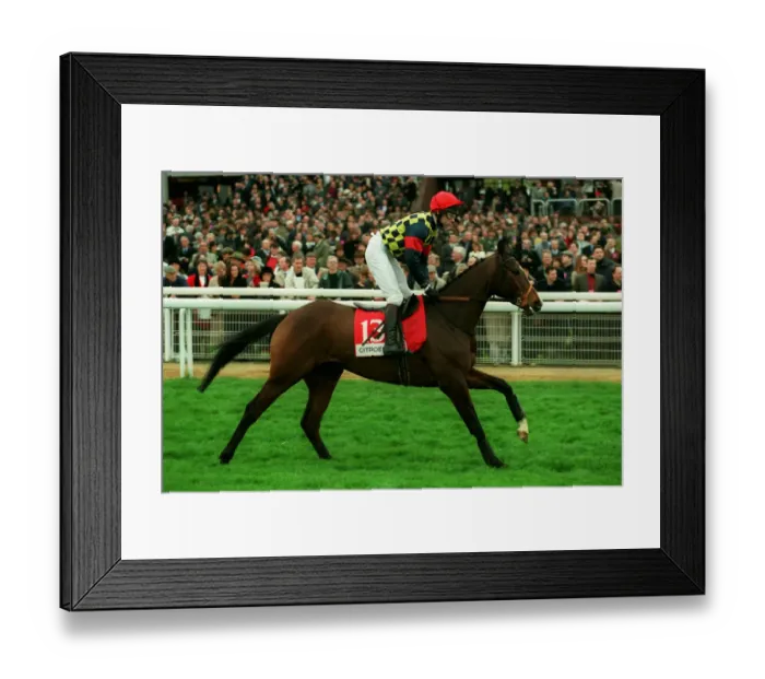Framed Print : King Kato Ridden By Mick Fitzgerald 23 March 1998 Date: 23 March 1998 Framed Print : King Kato Ridden By Mick Fitzgerald 23 March 1998 Date: 23 March 1998