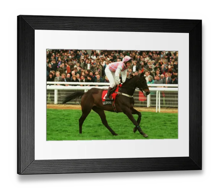 Framed Print : Edelweis Du Moulin