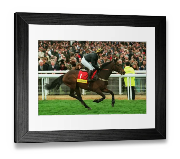 Framed Print : Bellator Ridden By B.Fenton 24 March 1998 Date: 24 March 1998 Framed Print : Bellator Ridden By B.Fenton 24 March 1998 Date: 24 March 1998