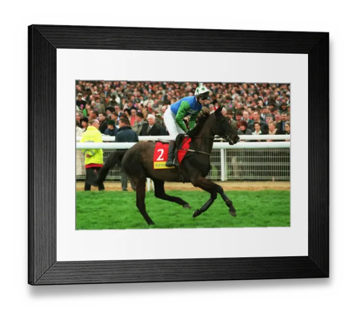 Framed Print : Cadougold Ridden By Mick Fitzgerald 24 March 1998 Date: 24 March 1998 Framed Print : Cadougold Ridden By Mick Fitzgerald 24 March 1998 Date: 24 March 1998