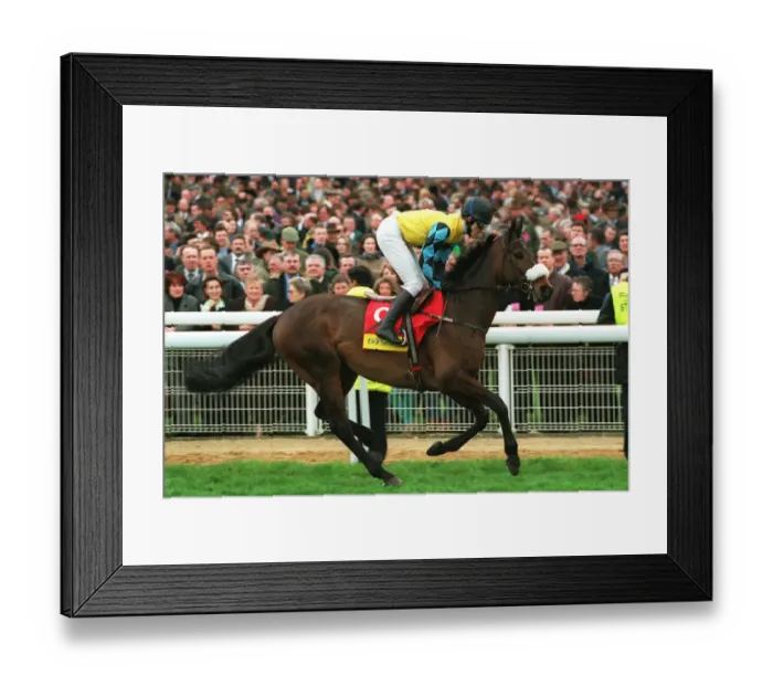 Framed Print : Pridwell Ridden By Tony Mccoy 24 March 1998 Date: 24 March 1998 Framed Print : Pridwell Ridden By Tony Mccoy 24 March 1998 Date: 24 March 1998