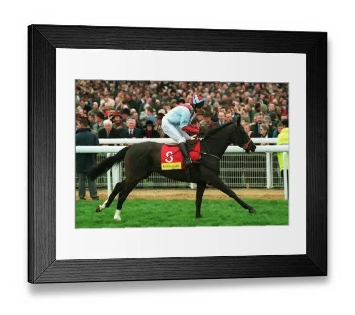 Framed Print : Kerawi Ridden By Carl Llewellyn 24 March 1998 Date: 24 March 1998 Framed Print : Kerawi Ridden By Carl Llewellyn 24 March 1998 Date: 24 March 1998
