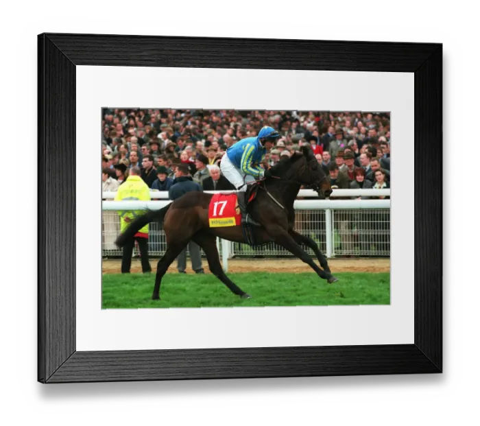 Framed Print : Marello Ridden By Peter Niven 24 March 1998 Date: 24 March 1998 Framed Print : Marello Ridden By Peter Niven 24 March 1998 Date: 24 March 1998