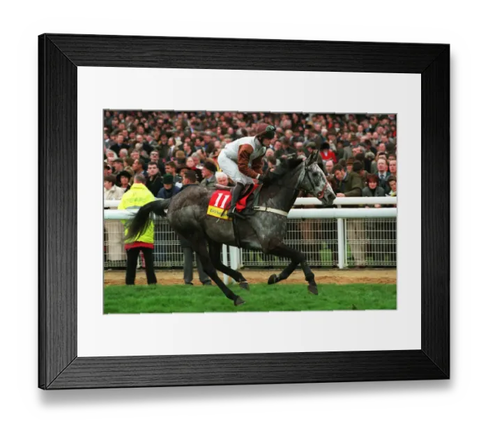 Framed Print : Relkeel Ridden By Adrian Maguire 24 March 1998 Date: 24 March 1998 Framed Print : Relkeel Ridden By Adrian Maguire 24 March 1998 Date: 24 March 1998
