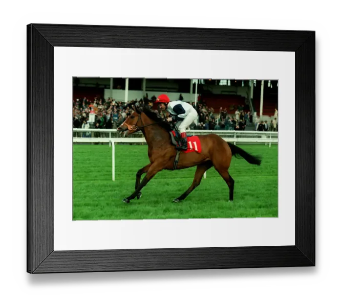 Framed Print : March Star Framed Print : March Star