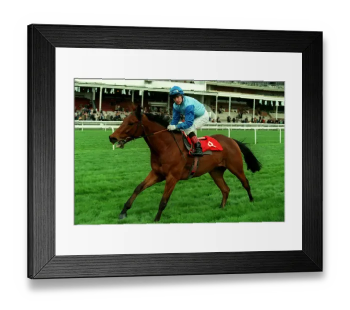 Framed Print : Tedburrow Ridden By K.Fallon 17 April 1998 Date: 17 April 1998 Framed Print : Tedburrow Ridden By K.Fallon 17 April 1998 Date: 17 April 1998