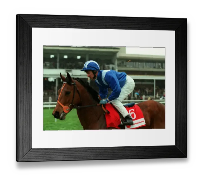 Framed Print : Nadwah Ridden By R.Hills 17 April 1998 Date: 17 April 1998 Framed Print : Nadwah Ridden By R.Hills 17 April 1998 Date: 17 April 1998