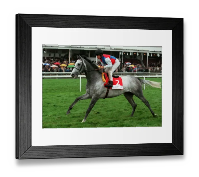 Framed Print : Silver Patriarch Framed Print : Silver Patriarch
