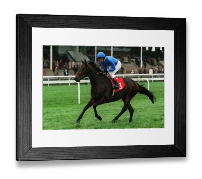 Framed Print : Mutawwaj Ridden By L.Dettori 05 May 1998 Date: 05 May 1998 Framed Print : Mutawwaj Ridden By L.Dettori 05 May 1998 Date: 05 May 1998